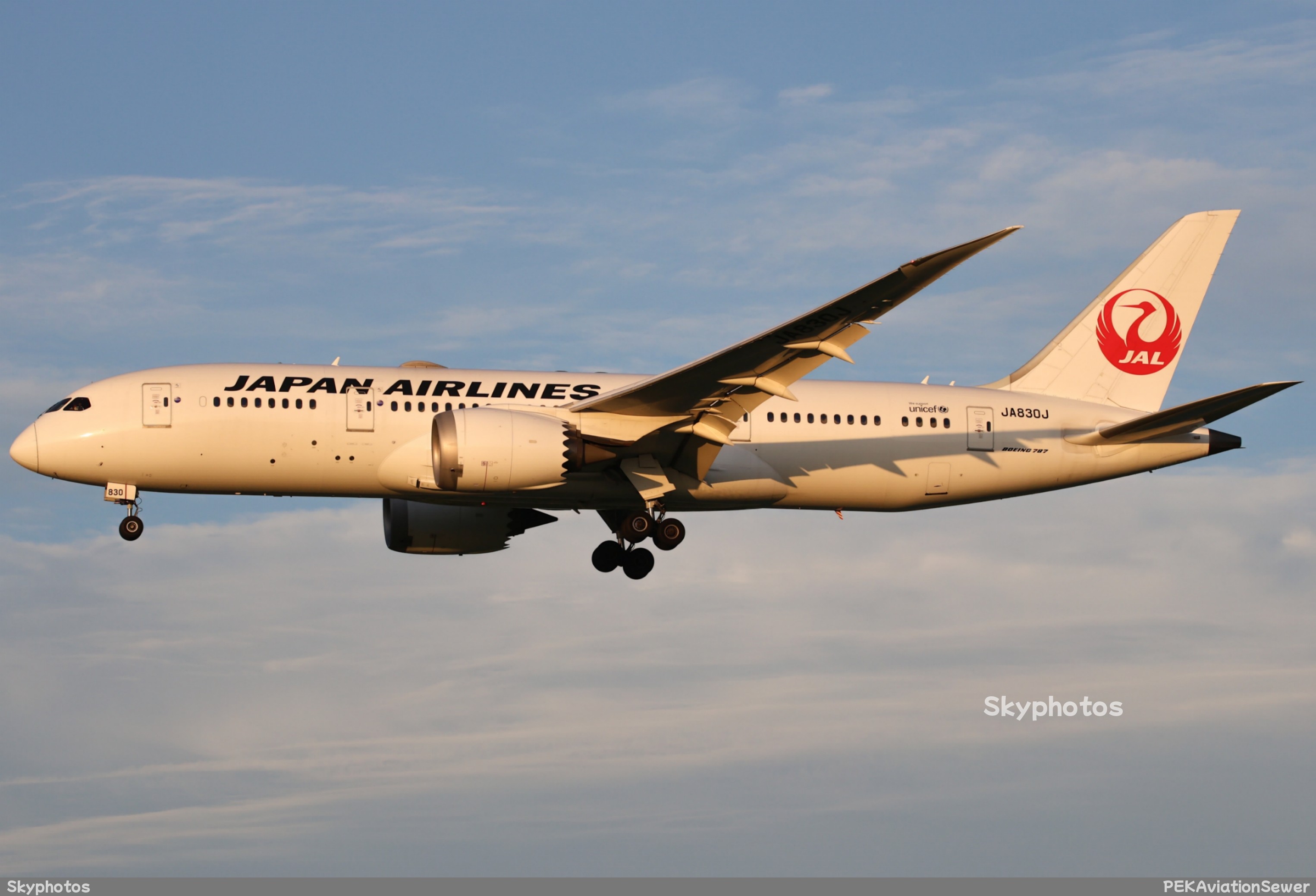 日本航空 波音787-8