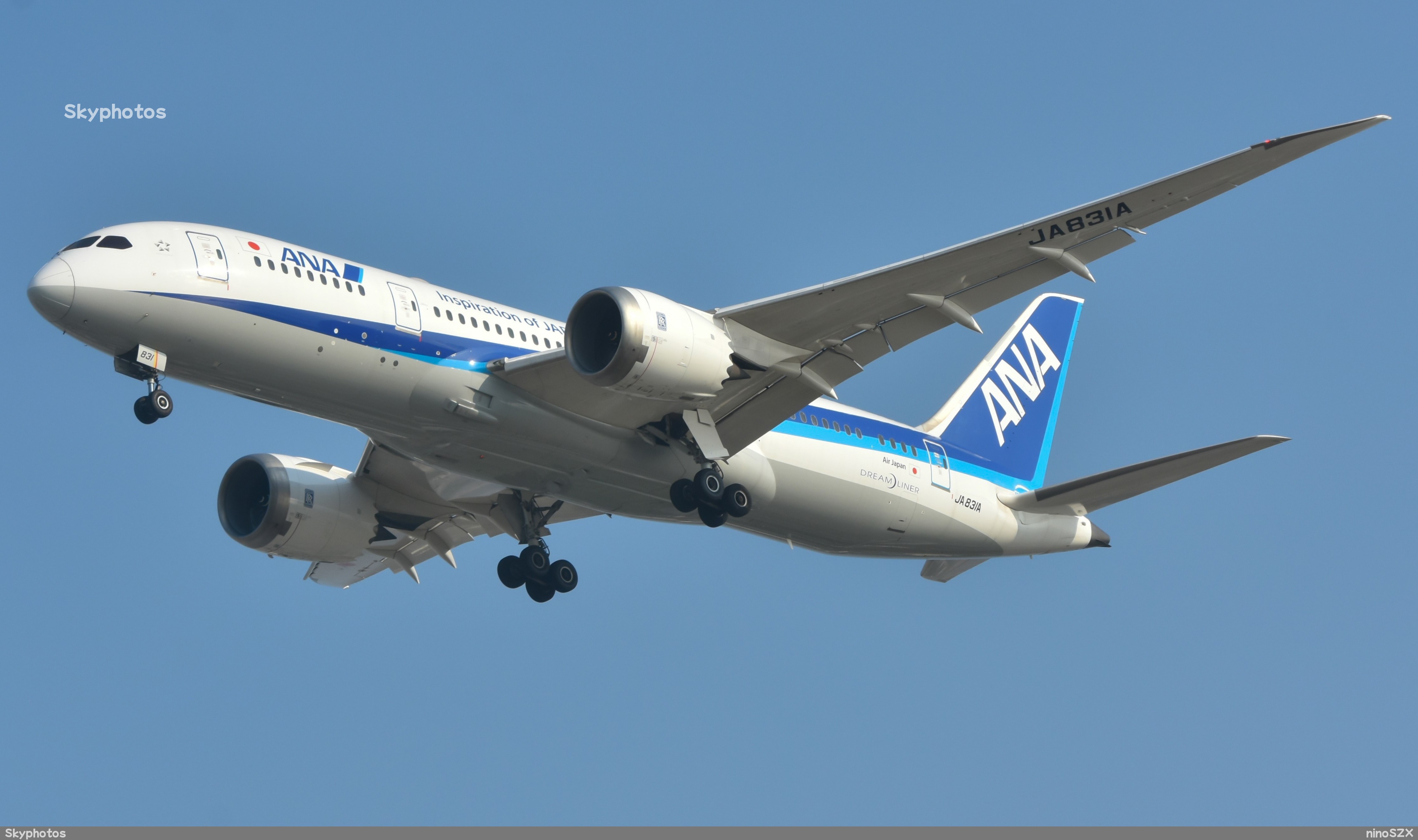 ANA B787-8