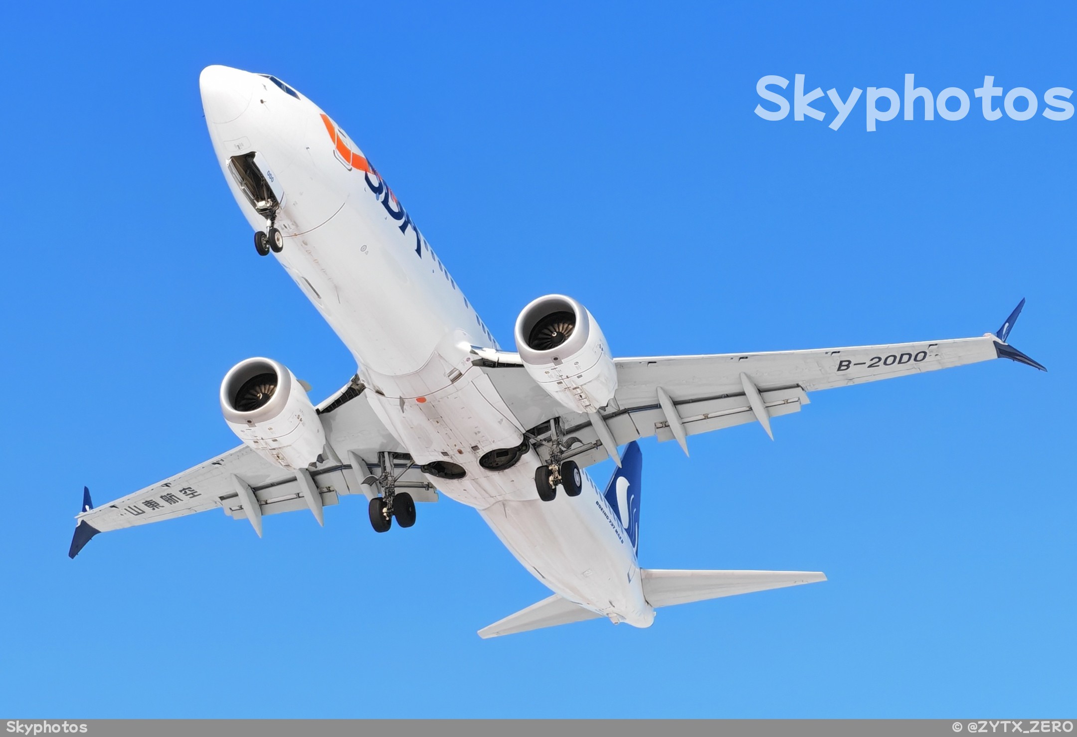 山东航空 B737-8 at 沈阳桃仙国际机场