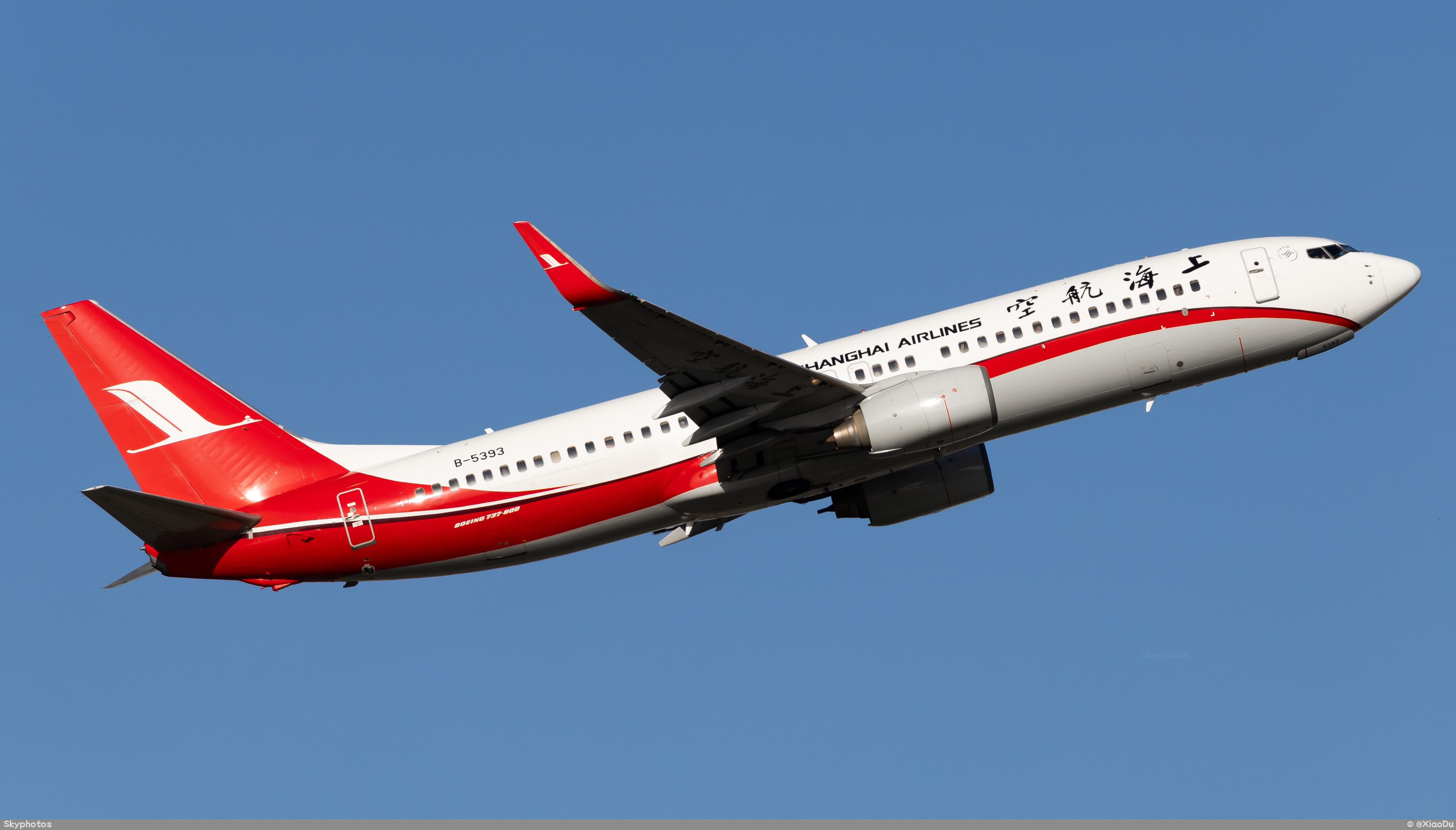 上海航空 B737-86D(WL)