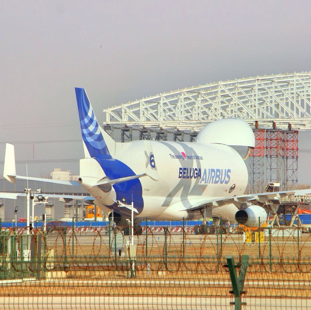 tiaoyuandeyabo的头像